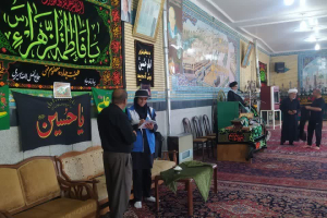 " بازدید کارشناس بهداشت محیط در روز تاسوعای حسینی "