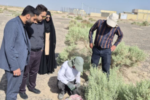 ⭕️ بازدید میدانی از روند اجرای طرح کنترل و پیشگیری از بیماری سالک