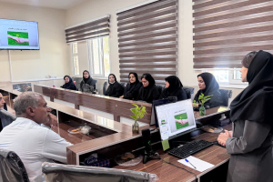   "برگزاری کارگاه «آموزش استانداردهای مهارت عملی مراقبت ادغام یافته سالمندان» "