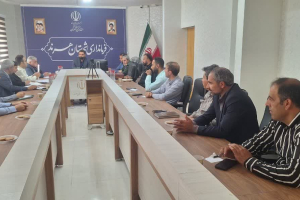 " فرمانداری 