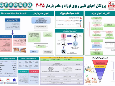 " پروتکل احیاء قلبی و ریوی "