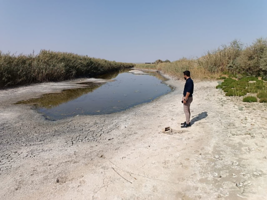 پنجمین مرحله چک حشره شناسی در راستای شناسایی ناقلین بیماری سالک و آئدس