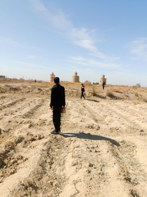 " ادامه عملیات جونده کشی با کانون های پرخطر بیماری سالک "