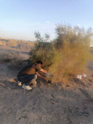 ⭕️" اجرای نخستین مرحله از عملیات چک حشره‌شناسی به منظور  مبارزه با سالک "
