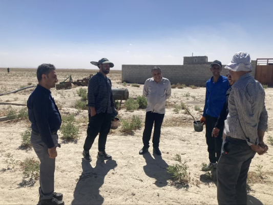 " بازدید از روند اجرای طرح مبارزه با مخزن بیماری سالک شهرستان هرند در کانون اژیه (قمشان)"
