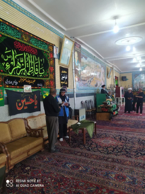 " بازدید کارشناس بهداشت محیط در روز تاسوعای حسینی "