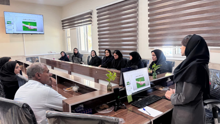  "برگزاری کارگاه «آموزش استانداردهای مهارت عملی مراقبت ادغام یافته سالمندان» "