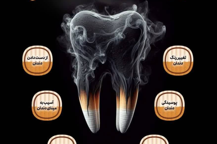 " دهان و دندان "