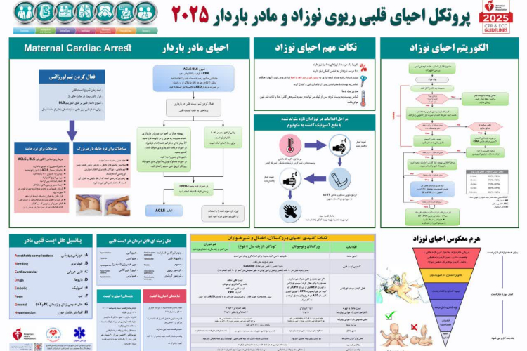 " پروتکل احیاء قلبی و ریوی "