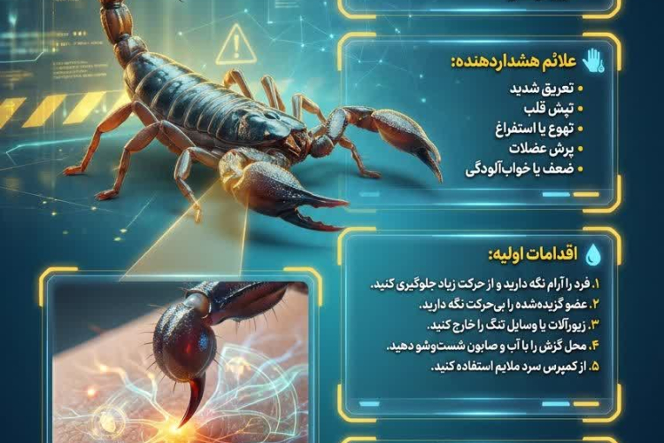 " عقرب‌گزیدگی؛ راهنمای فوری تشخیص خطر و اقدامات حیاتی "