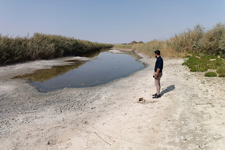 پنجمین مرحله چک حشره شناسی در راستای شناسایی ناقلین بیماری سالک و آئدس