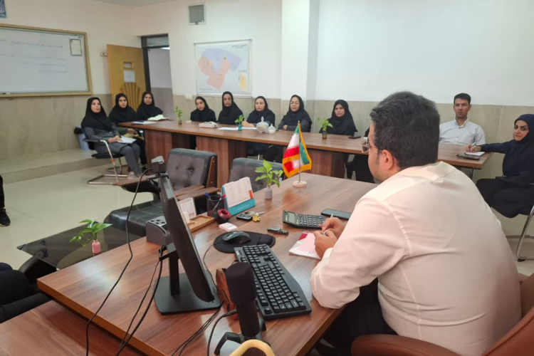 تشکیل کمیته اجرایی SDH