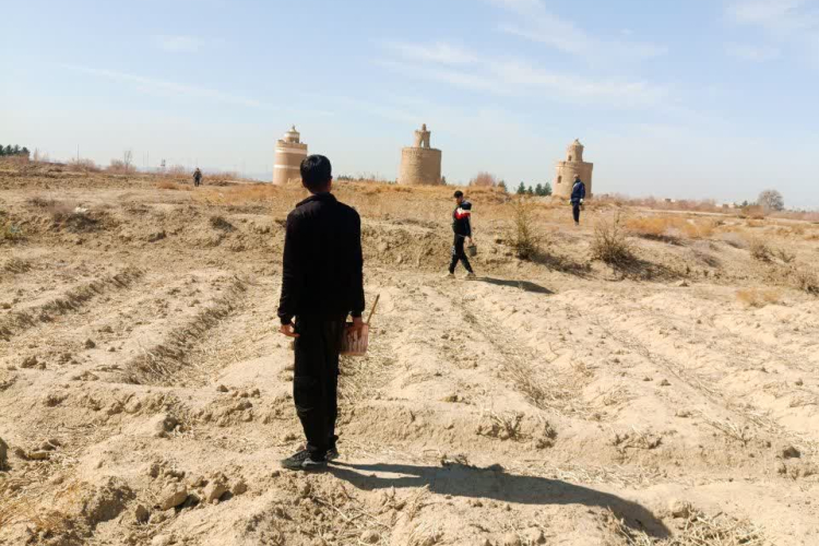 " ادامه عملیات جونده کشی با کانون های پرخطر بیماری سالک "