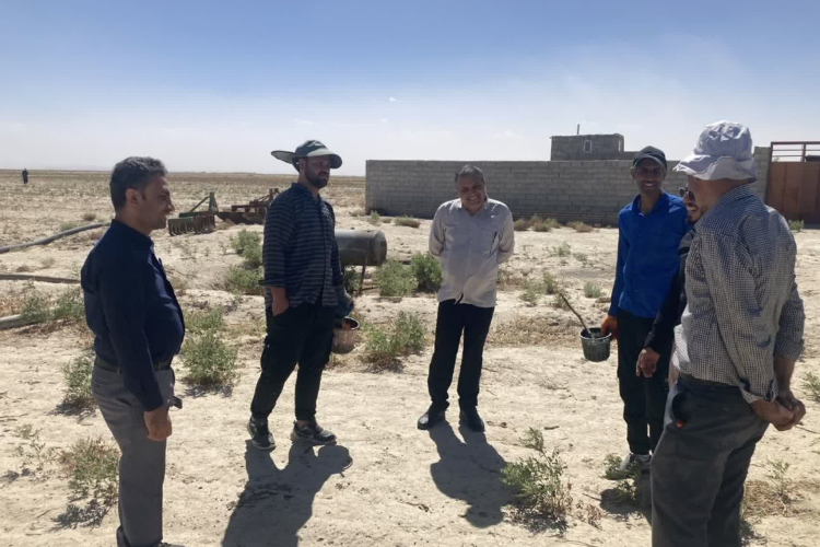 " بازدید از روند اجرای طرح مبارزه با مخزن بیماری سالک شهرستان هرند در کانون اژیه (قمشان)"