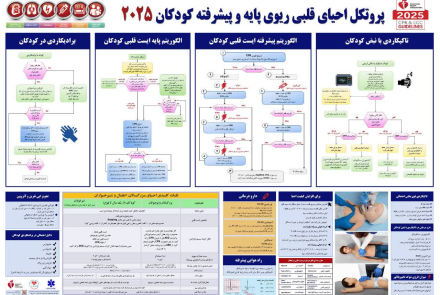 " پروتکل احیاء قلبی و ریوی "
