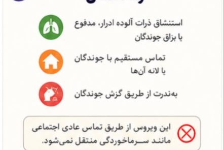 هانتا ویروس 🔹️ویروسی نادر اما خطرناک