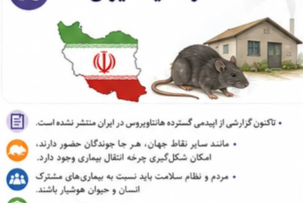 هانتا ویروس 🔹️ویروسی نادر اما خطرناک