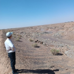 " حضور مهندس قاسمی "