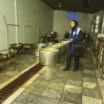 " بازدید کارشناسان بهداشت محیط "