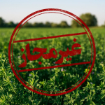 " گزارش بازدید از محل برداشت غیرمجاز فاضلاب خام جهت آبیاری اراضی کشاورزی "