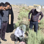 ⭕️ بازدید میدانی از روند اجرای طرح کنترل و پیشگیری از بیماری سالک